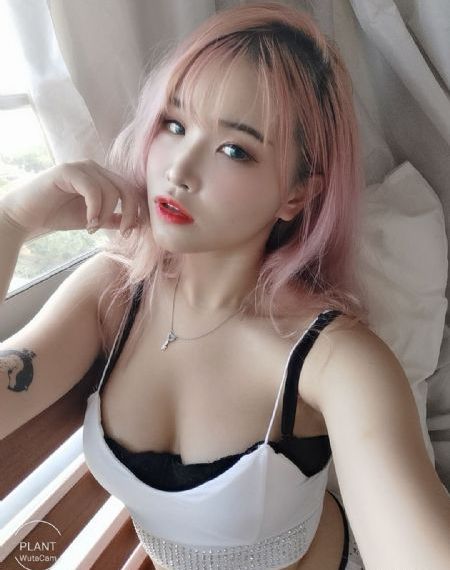 免费看vip_DVD电影在线观看