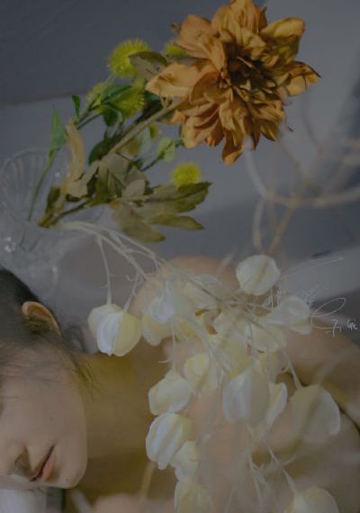 剑风传奇_1080P全集免费播放