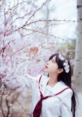 学园偶像_1080超清在线观看